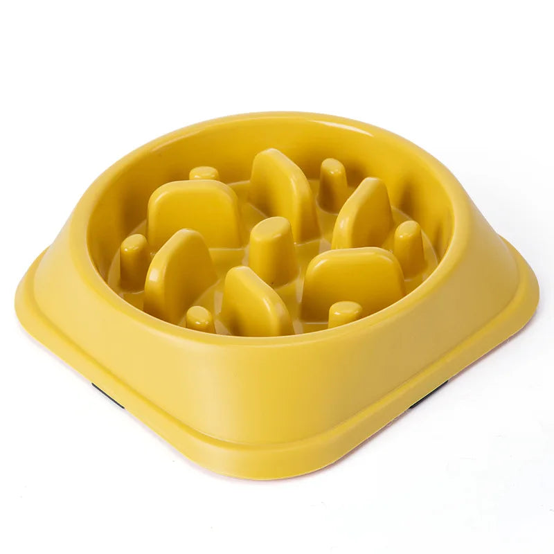 Gamelle Anti-Glouton pour Animaux