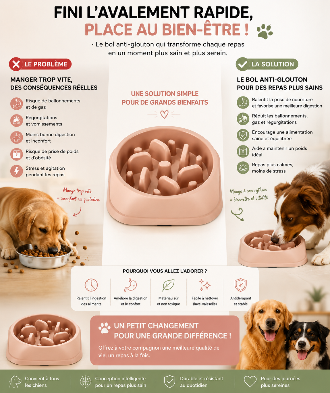 Gamelle Anti-Glouton pour Animaux