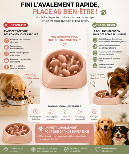 Gamelle Anti-Glouton pour Animaux