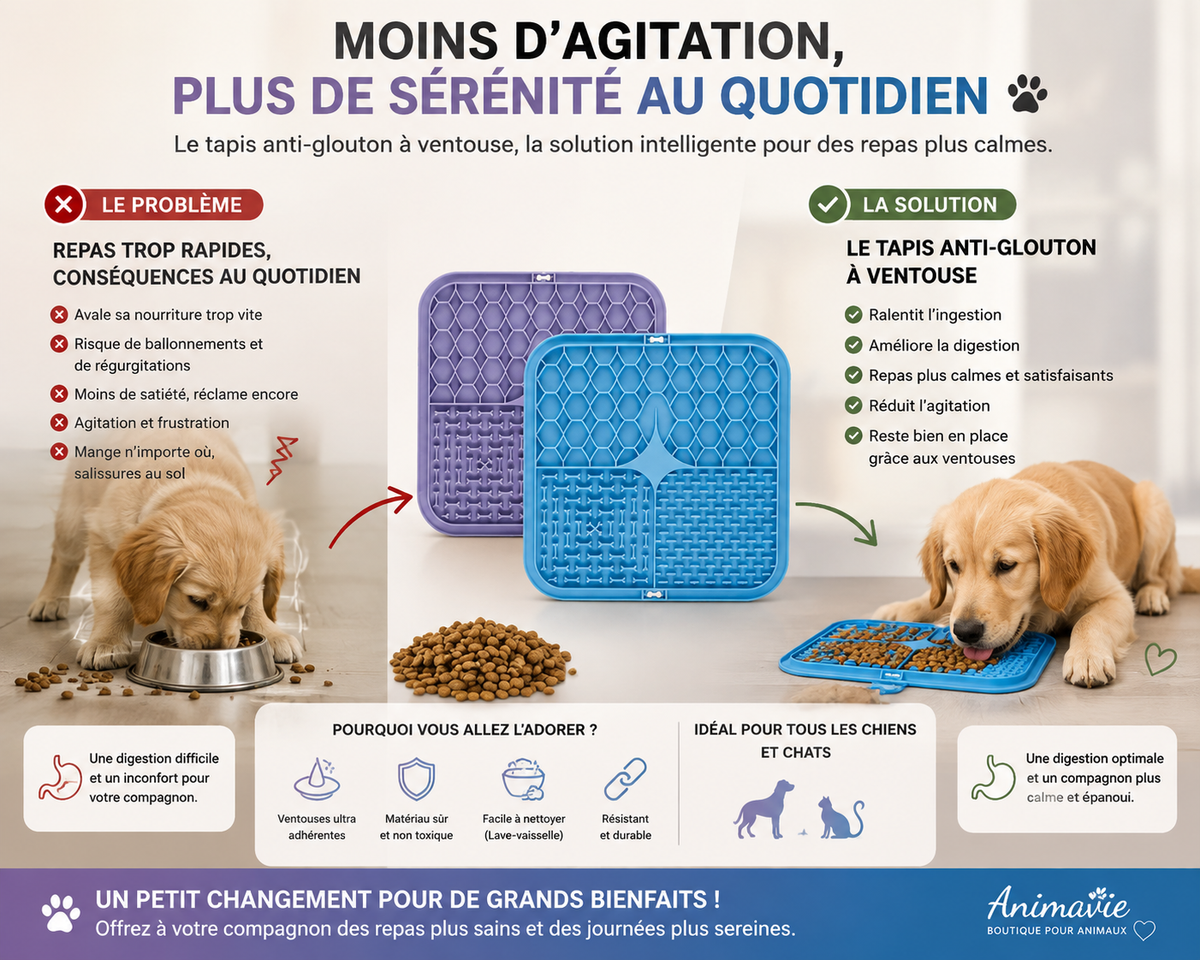 Tapis Anti-Glouton à Ventouse pour Chiens