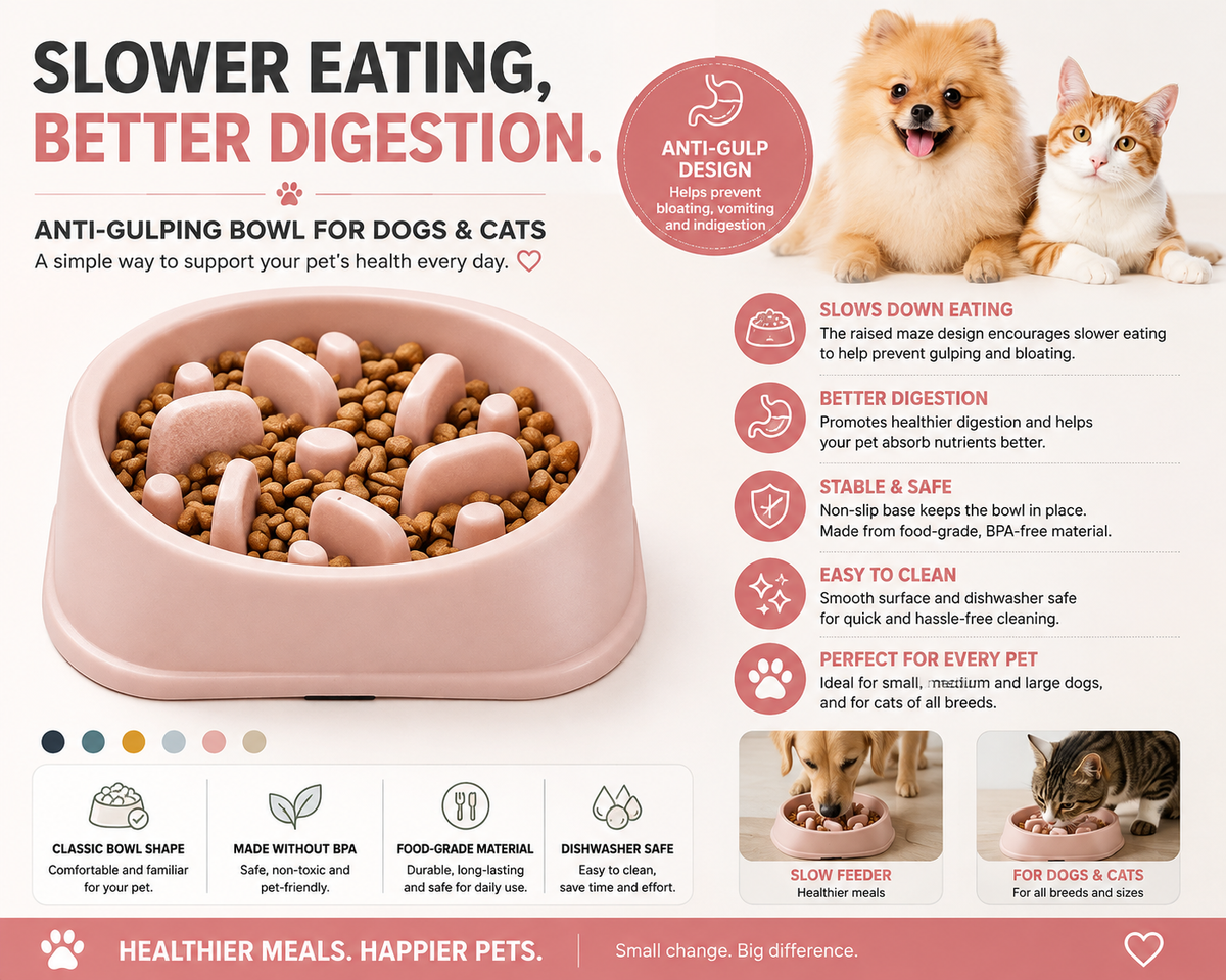 Gamelle Anti-Glouton pour Animaux