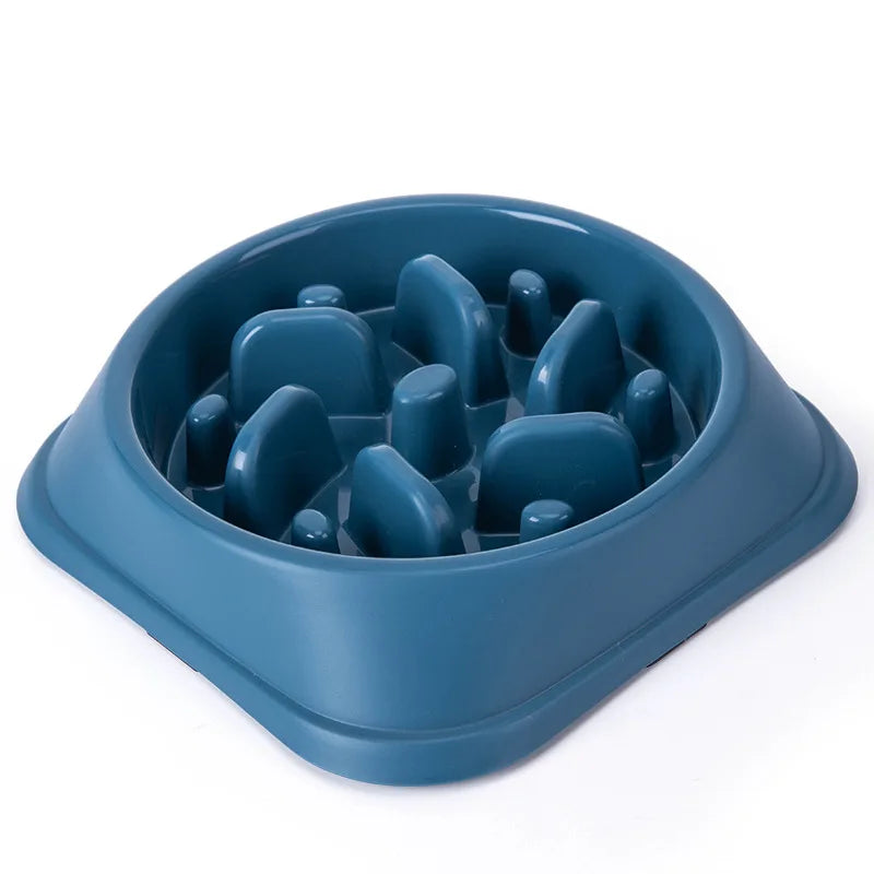 Gamelle Anti-Glouton pour Animaux
