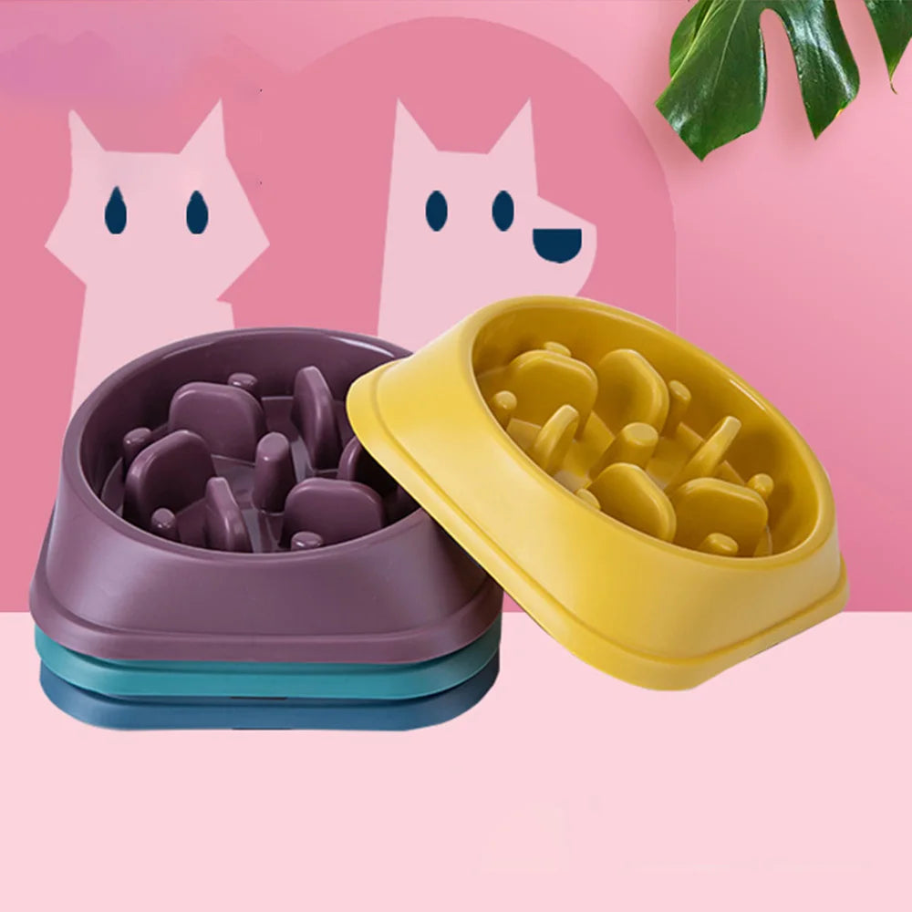 Gamelle Anti-Glouton pour Animaux