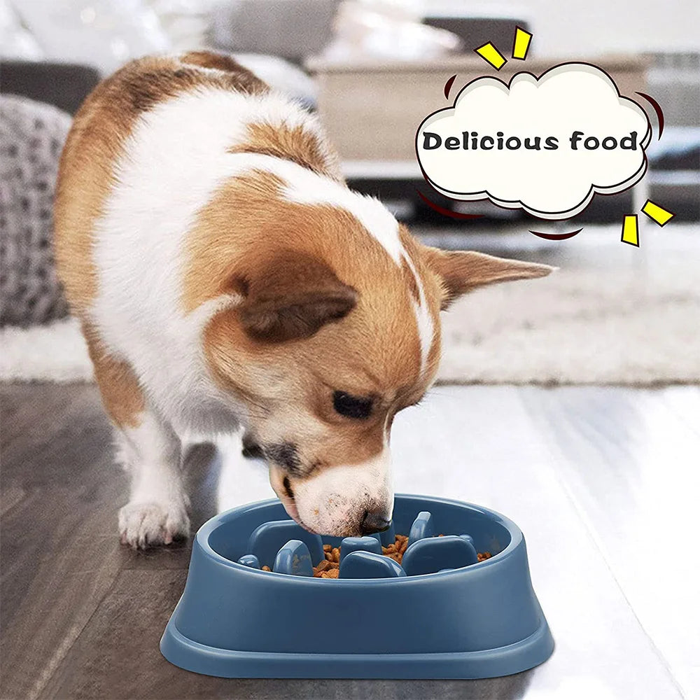 Gamelle Anti-Glouton pour Animaux