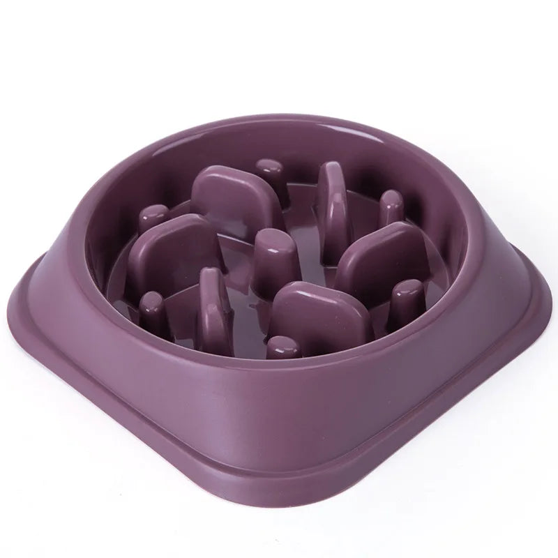 Gamelle Anti-Glouton pour Animaux