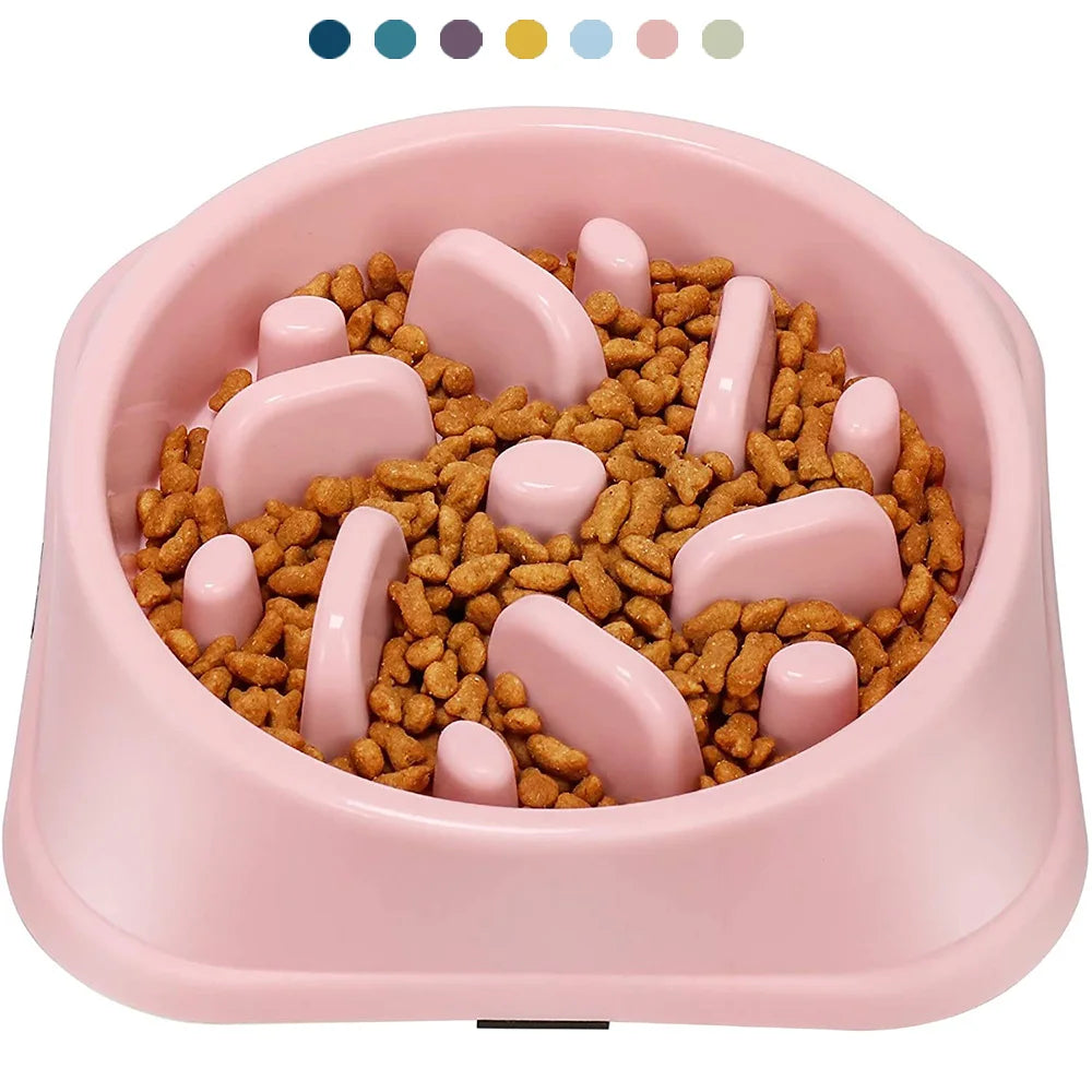 Gamelle Anti-Glouton pour Animaux