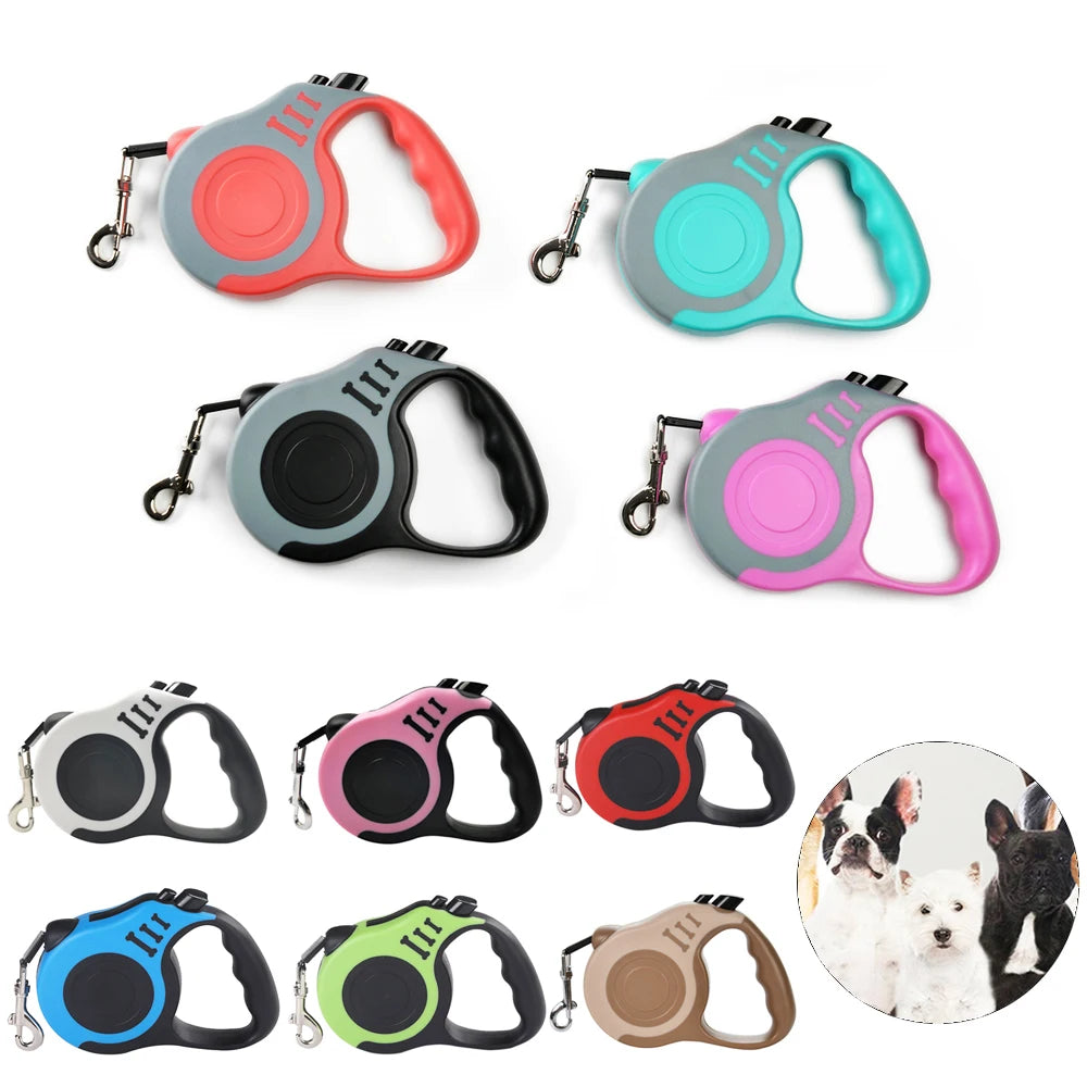 laisse chien rétractable
