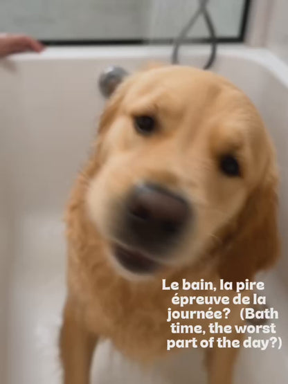 Tapis Anti-Glouton à Ventouse pour Chiens