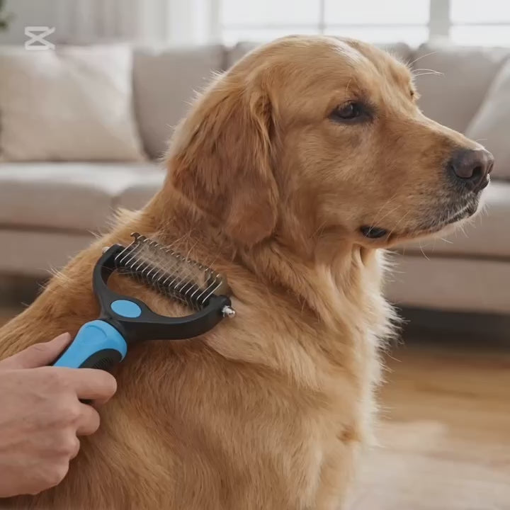 brosse anti- noeuds pour animaux pour animaux