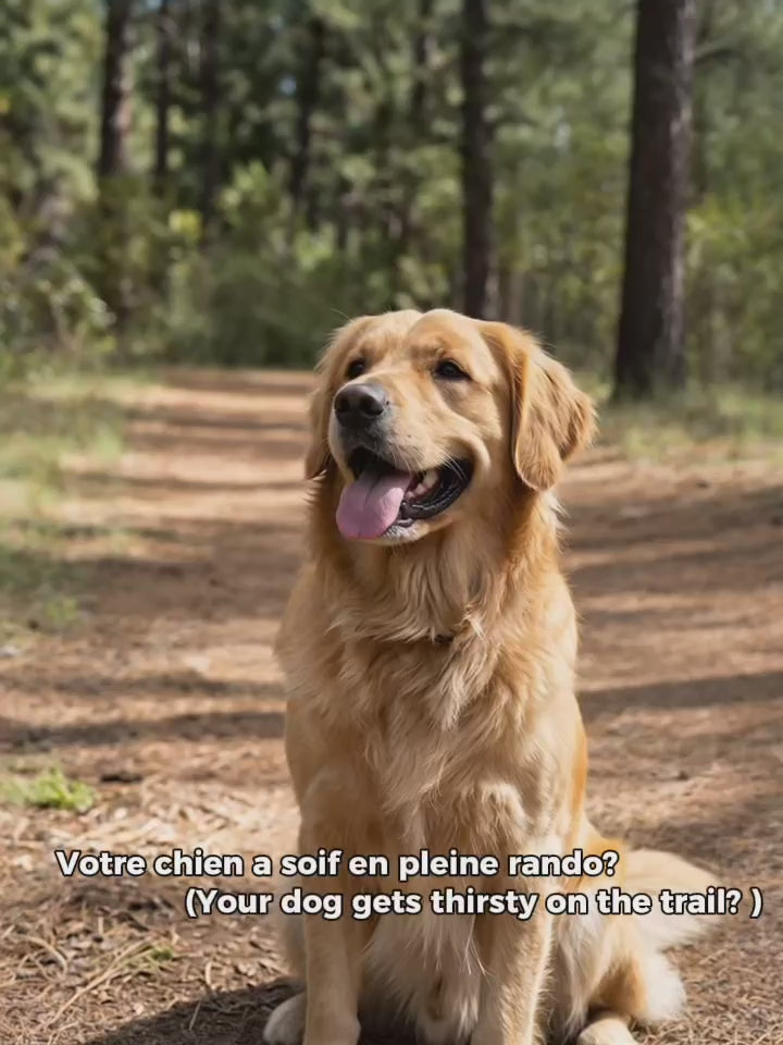 bouteille d&